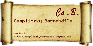 Csapliczky Barnabás névjegykártya