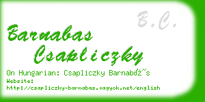 barnabas csapliczky business card